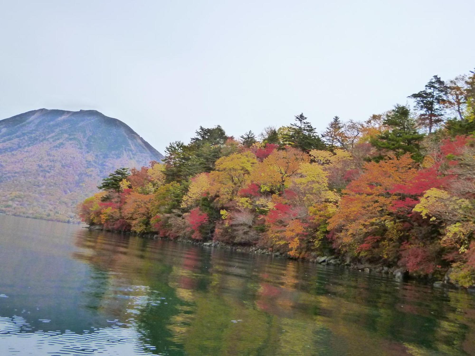 Little Forest Inn Nikko Eksteriør billede